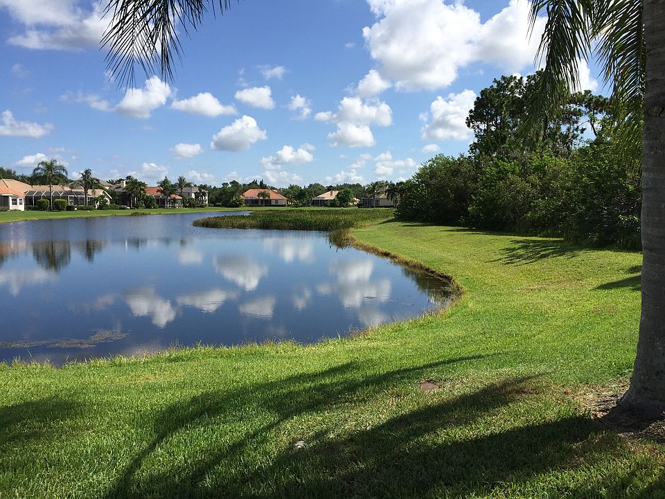 Pond View