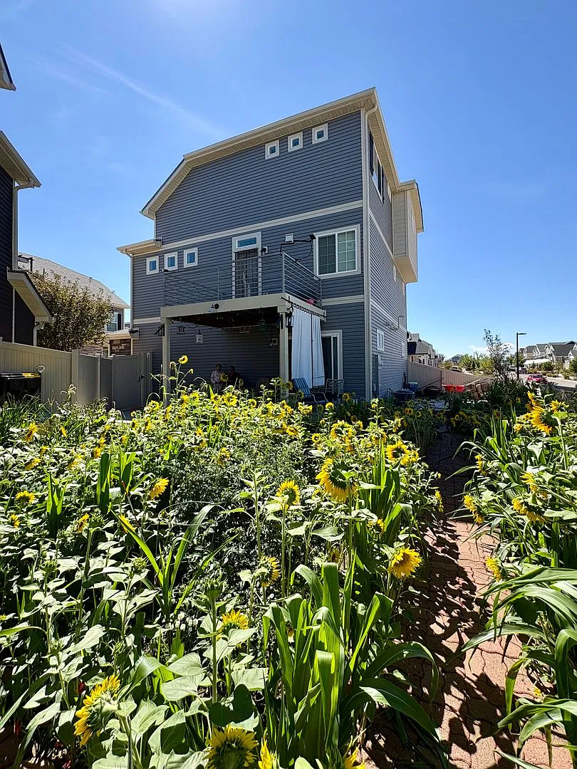 Gorgeous 3 bed, 3.5 bath with Office, Corner Lot — Photo 4