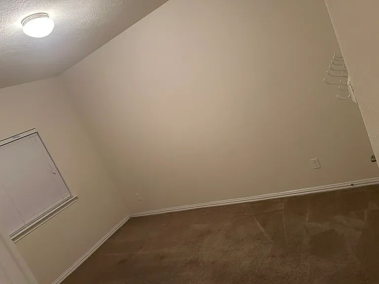 4314 Payton Manor Ln — Photo 10