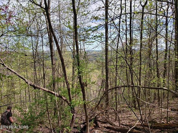 2nd image of Watson Hollow Rd