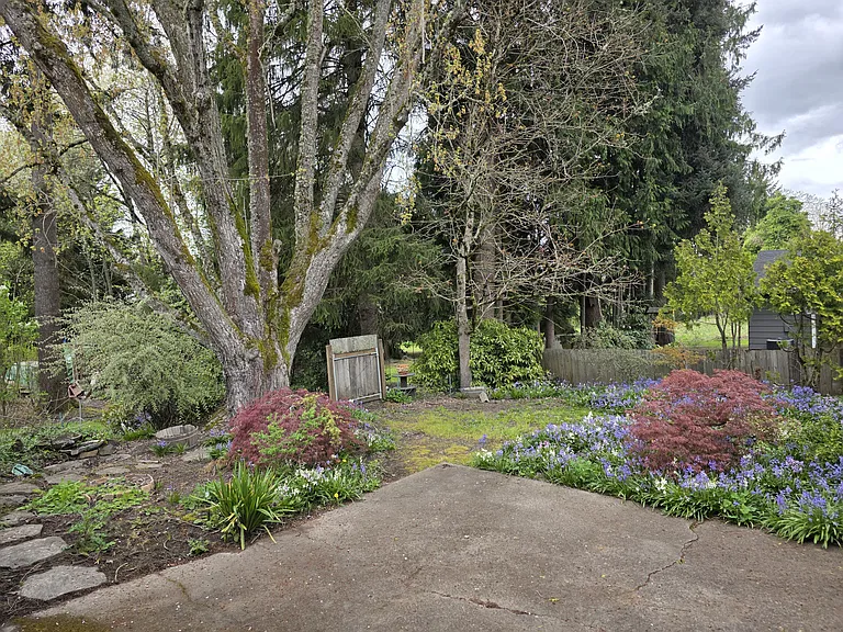 back yard off the concrete patio in the spring