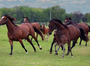 10399 Zipper Rd, Pilot Point, TX 76258