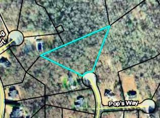 1101 Carrie Lees Pl, Bogart, GA 30622