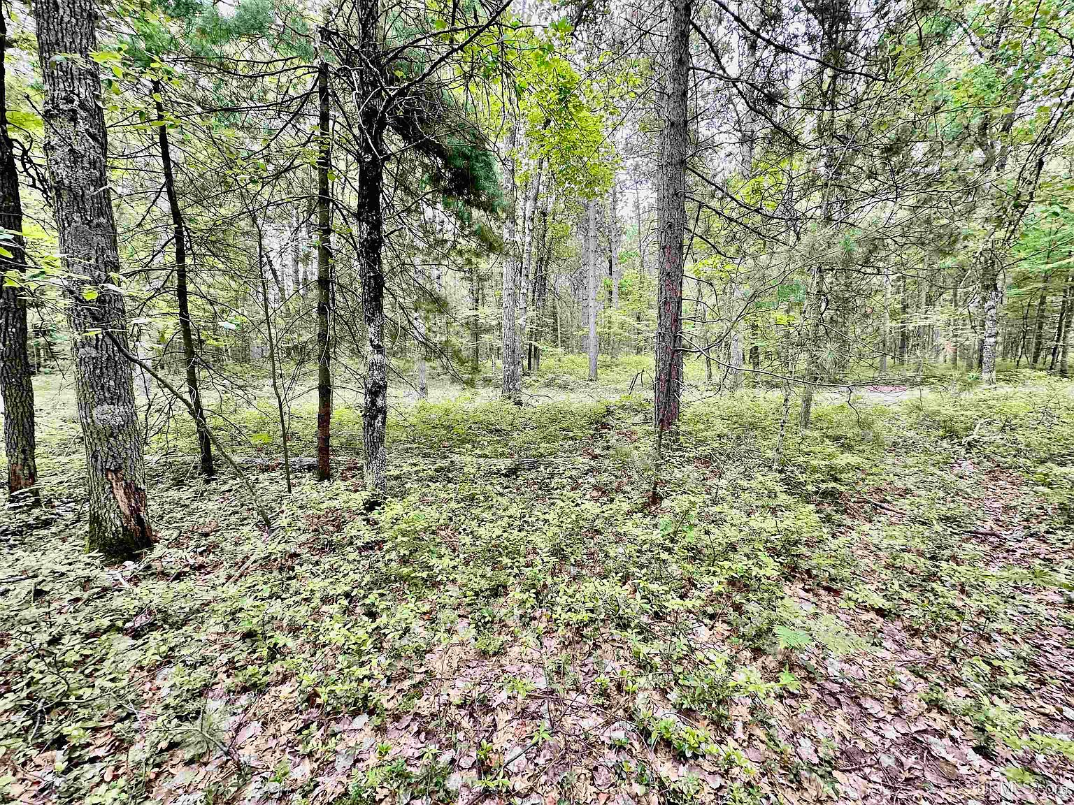 9139 U Rd 5, Rapid River, MI 49878 MLS 50113727 Zillow