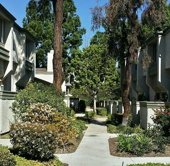 Caminito Eastbluff — Photo 1
