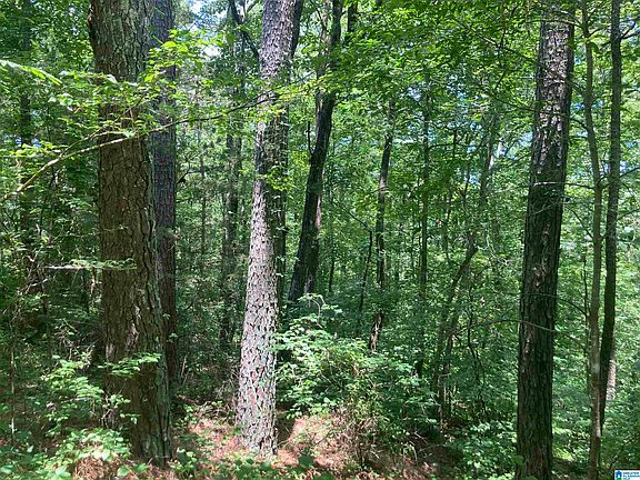 4th image of County Road 1043