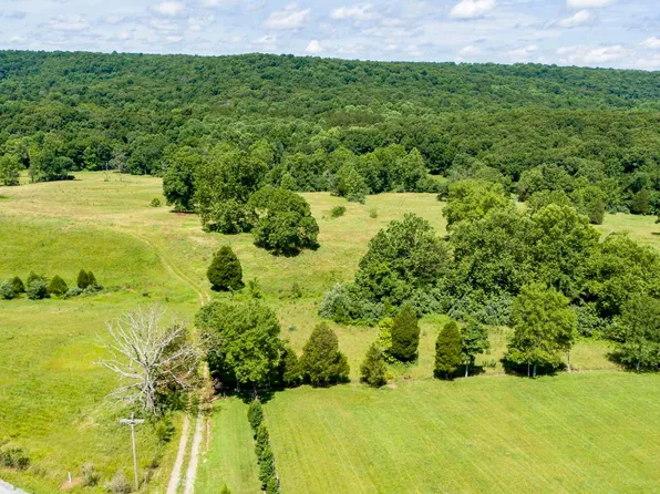 0 Henry Hicks Rd, Herod, IL 62947