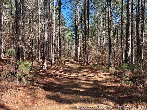 2nd image of 0 Tempting Church Rd