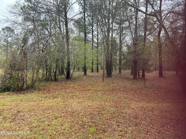 Lot 26 E River Front Lane, Trenton, NC 28585