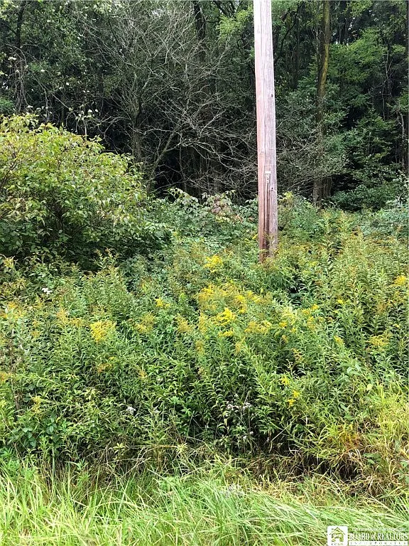 0 W Co Rd Lot 42 photo 1