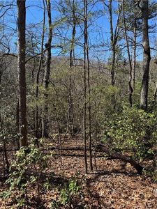 5504 Red Fox Dr #5504, Jasper, GA, 30143