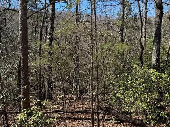 5504 Red Fox Dr #5504, Jasper, GA 30143