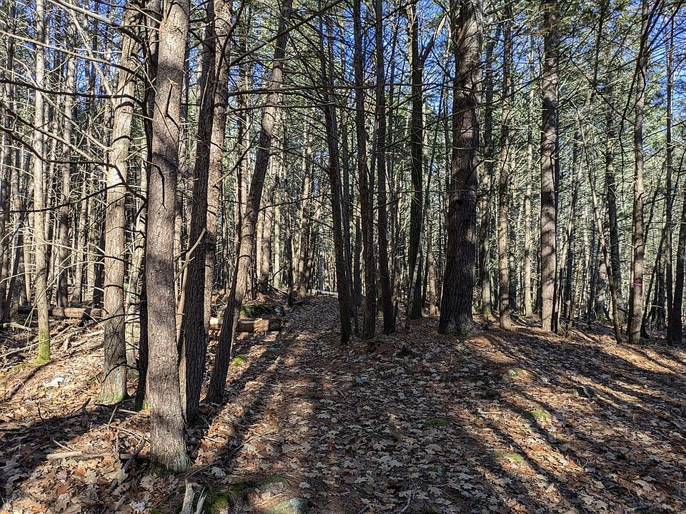 2nd image of LOT 1 Willis Rd