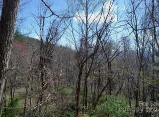 8 E Town Mountain Rd, Asheville, NC 28804