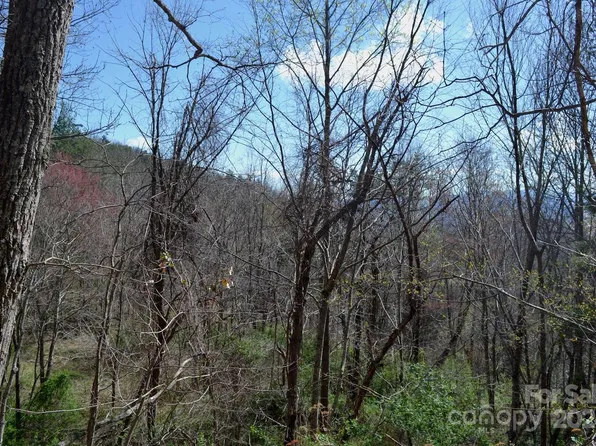 8 E Town Mountain Rd, Asheville, NC 28804