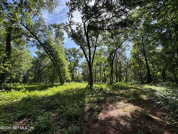 5th image of 241 INDIAN LAKES FOREST Road