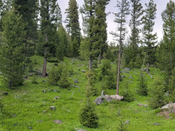 Nhn Slate Rd, Helmville, MT 59843