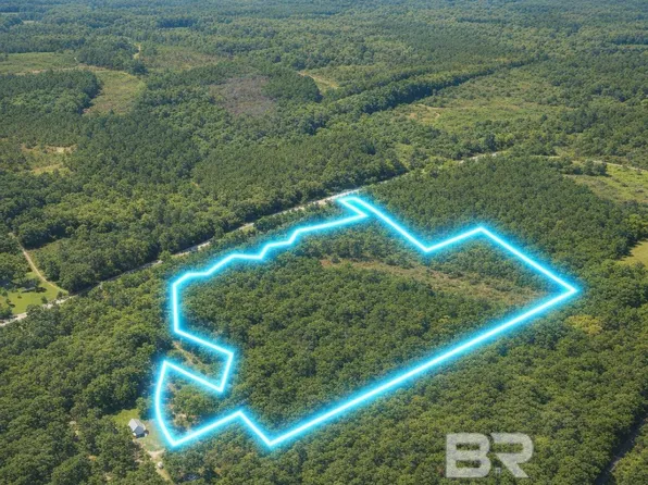 000 Doyle Morgan Rd, Samson, AL 36442