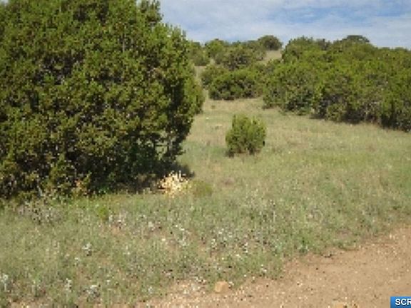 4th image of Alta Vista Dr
