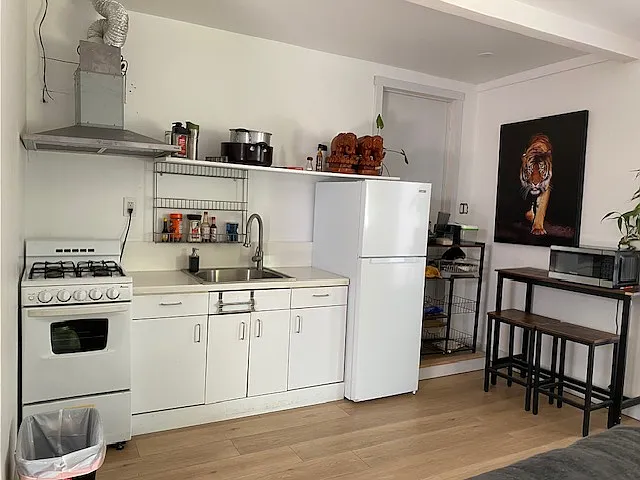 Studio, 360 sqft, $2,500 — Photo 2