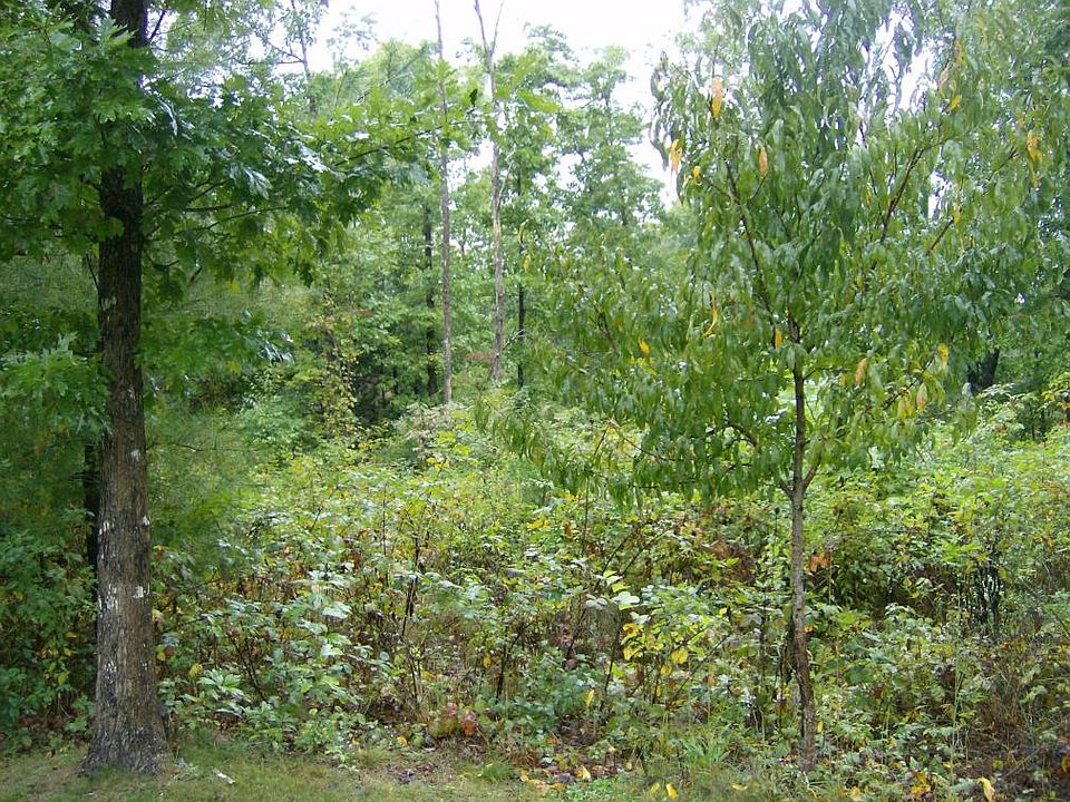1st image of 117 Black Oak Ln