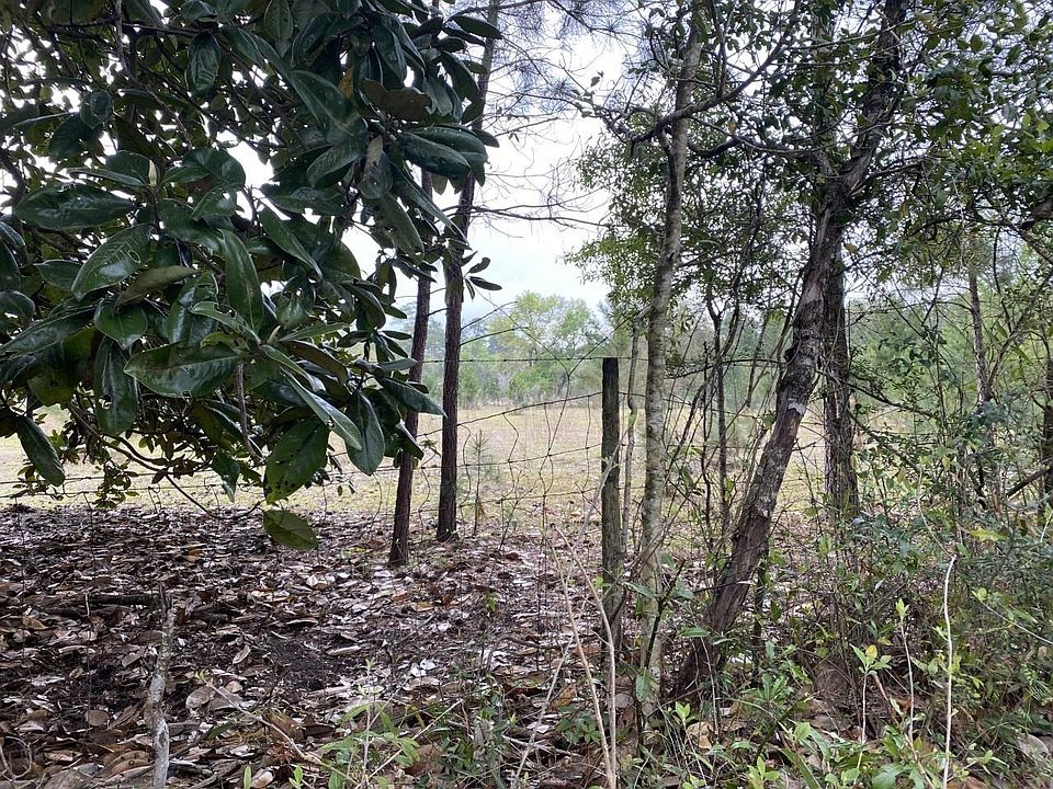 2nd image of Wakulla Arran Rd