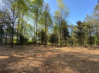 397A Owens Store Rd, Canton, GA 30115