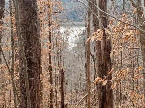 Whistle Valley Rd, New Tazewell, TN 37825