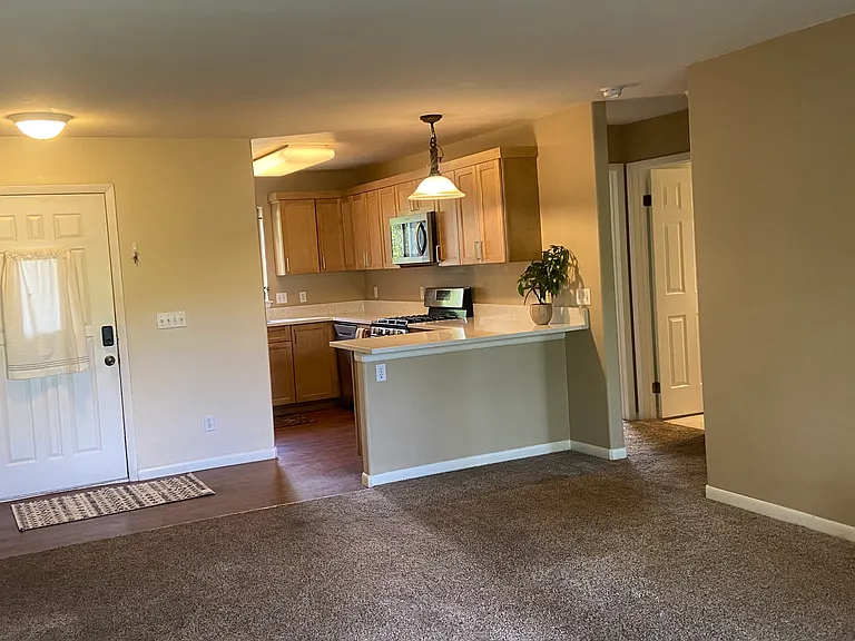 Living room and kitchen