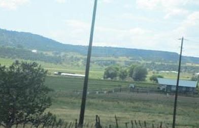 Exterior Neighborhood (street photo)