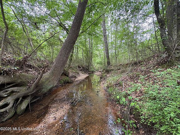 5th image of Forest Trl NE