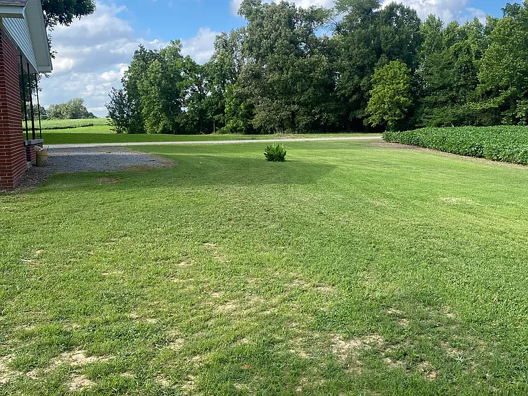 115 Kilzer Loop Rd — Photo 15