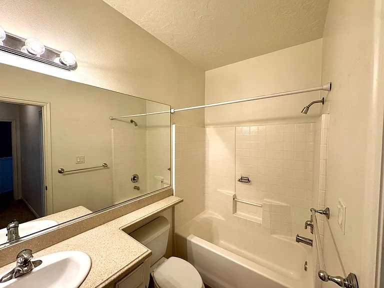 Hall bathroom_03232026