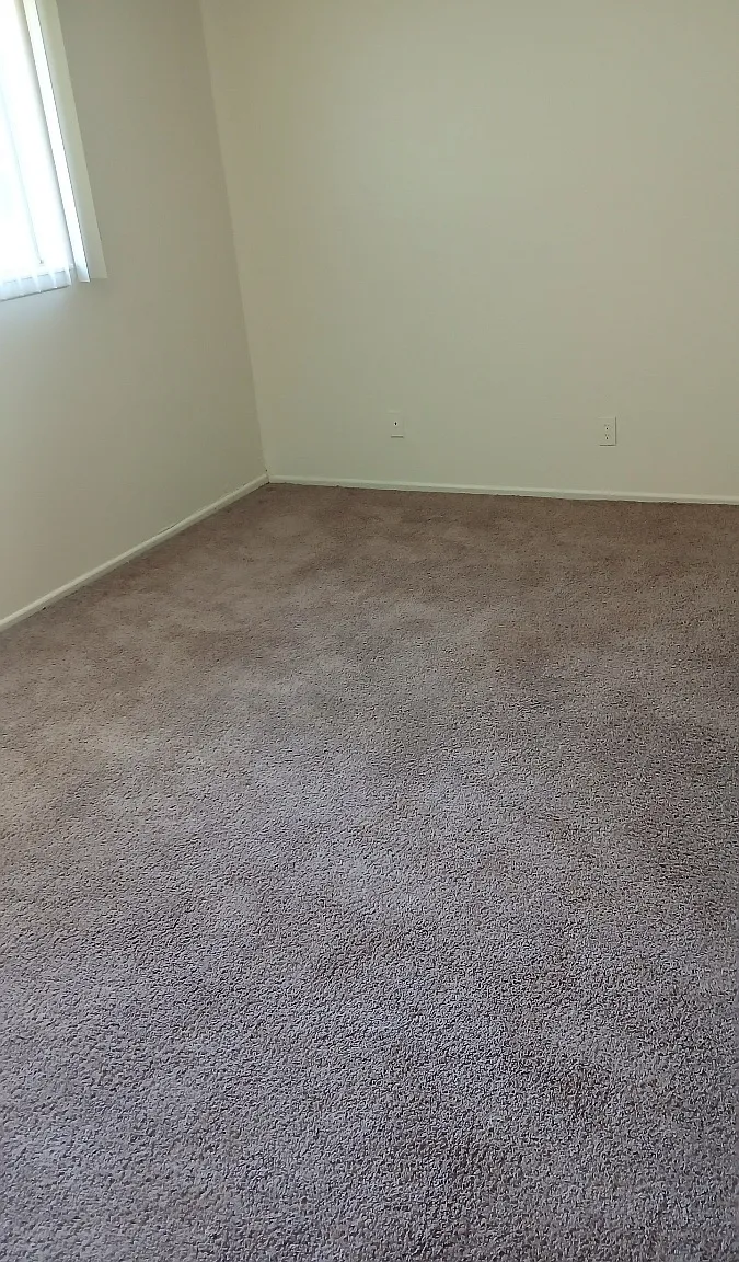 1 bed, 800 sqft, $1,350 — Photo 3