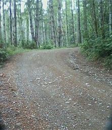 1st image of 7 Tahuya Valley Dr E