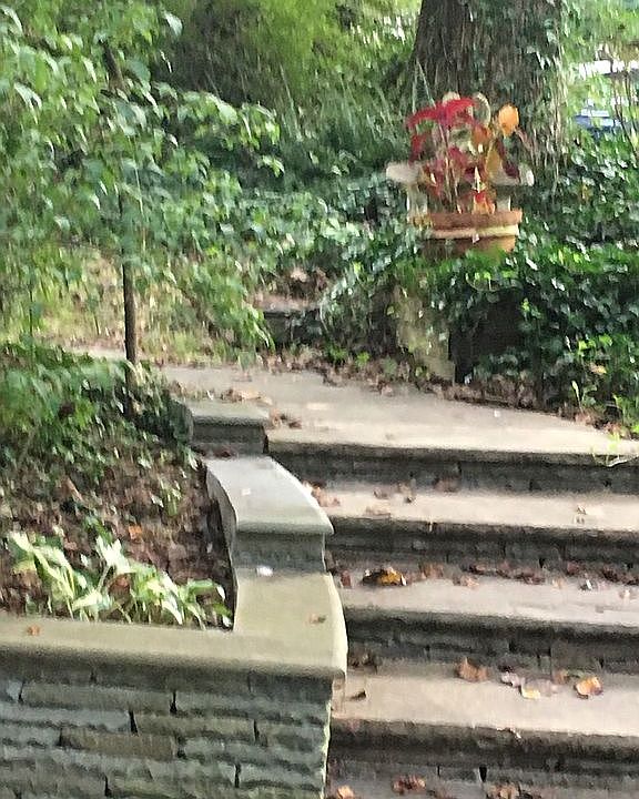 1st image of 4141 Lenox Dr