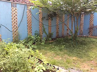 Rented by Realty Collective