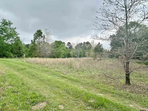 14700 County Road 3608, Brownsboro, TX 75756