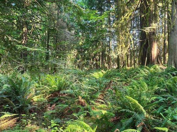 0 XXX S Lake Roesiger Rd Lots 20,21&22, Snohomish, WA 98290