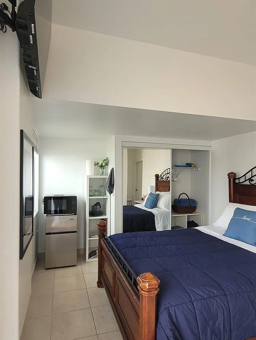 1 bed, 1.0 bath, 500 sqft, $1,250 — Photo 3