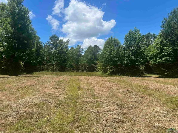 134 Fm, Karnack, TX 75661