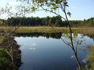 70AC Off McCormick Lake Rd, Harshaw, WI 54529