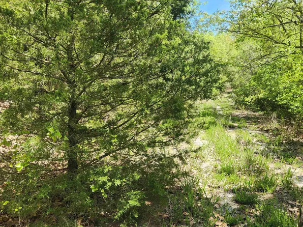 L 61 B Kayenta Cir #1, Cherokee Village, AR 72529