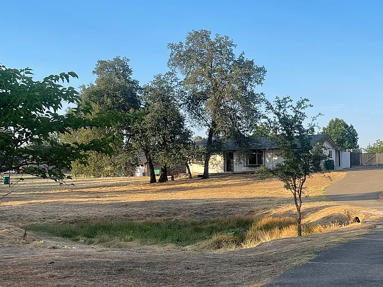10575 Leslye Ln — Photo 3
