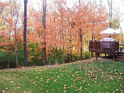 Fabulous Wooded View