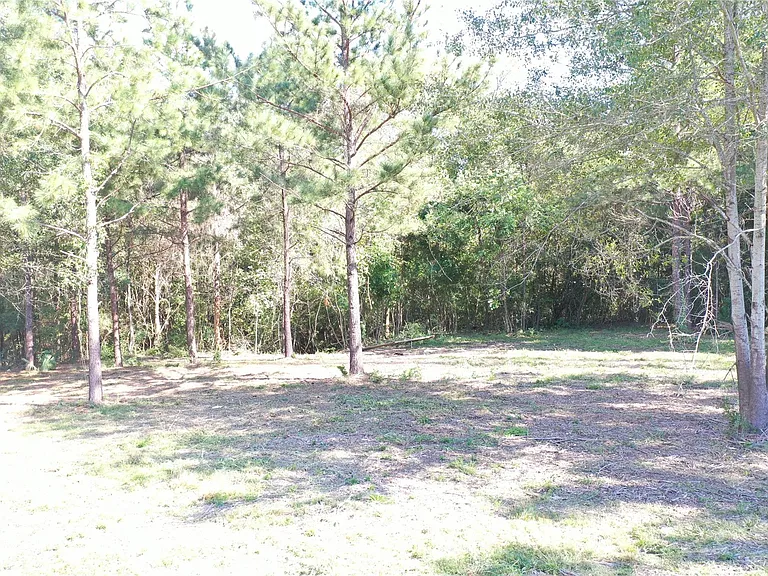 185 S FM 356 W — Photo 23