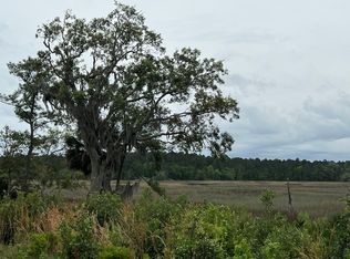 223 Refuge Way NE, Townsend, GA 31331