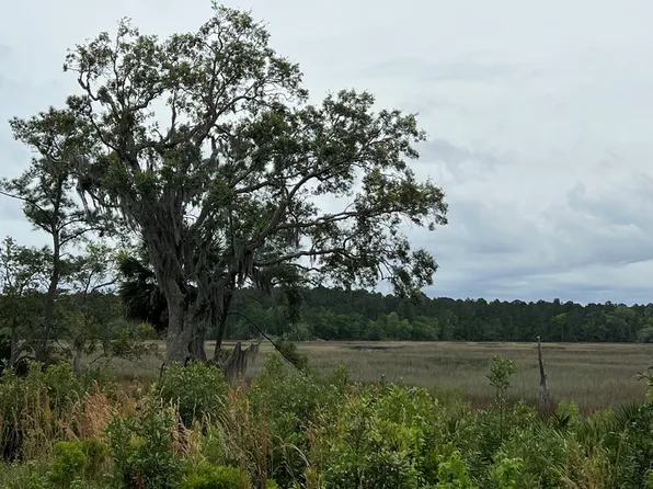 223 Refuge Way NE, Townsend, GA 31331