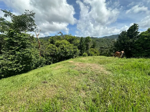 Bo Mamey 1 Carr 835 Parcela #K, Guaynabo, PR 00971
