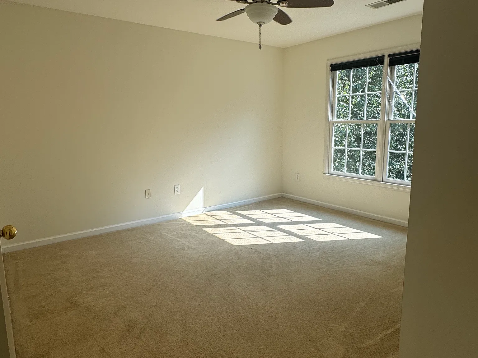 5 bed, 3599 sqft, $700 — Photo 1